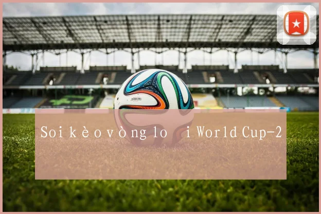 Soi kèo vòng loại World Cup