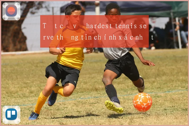 Tất cả về hardest tennis serve thông tin chính xác nhất hiện nay