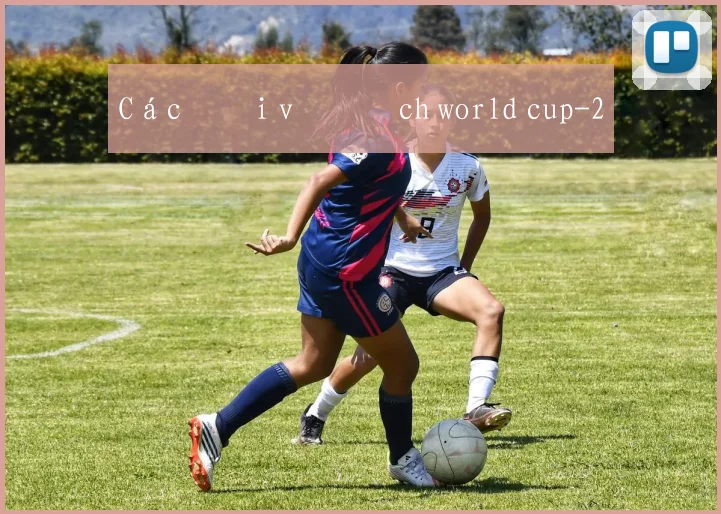 Các đội vô địch world cup